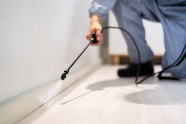 Bed Bug Pre-Treatment Preparation Assessment in Beech Island