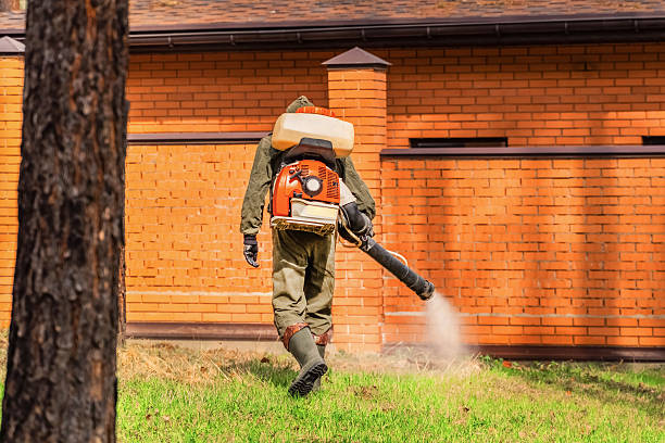 Bed Bug Clearance Verification and Documentation in Beech Island
